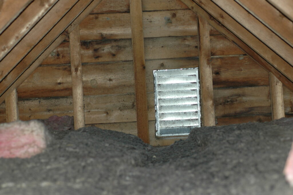 bat guano covering attic; Bats In Winter