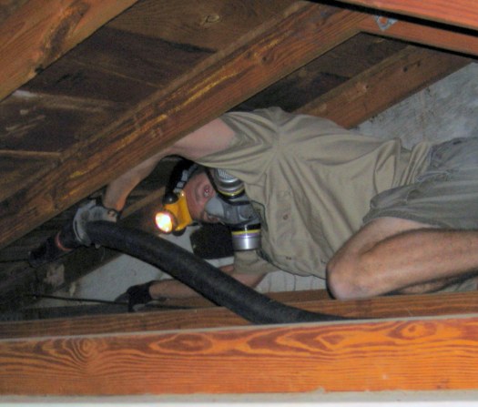 cleaning attic