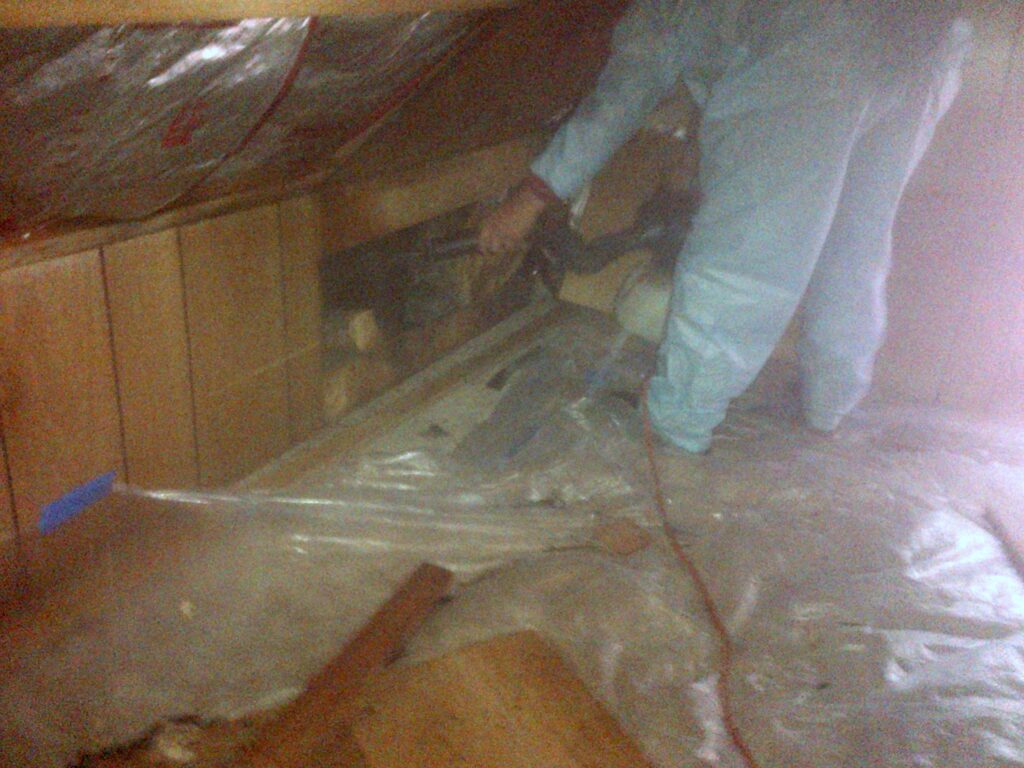 cleaning up attic; Remove Bats From Attic